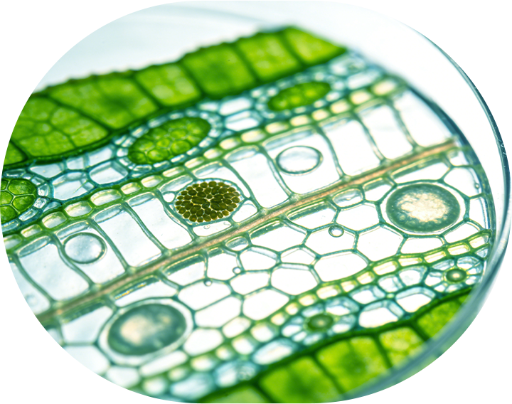 A More Controllable, Stable, and Future-Oriented Material Direction