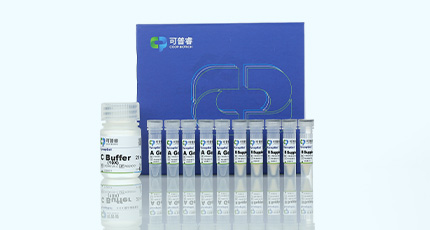 Organoid Culture Reagents and Workflow Solutions
